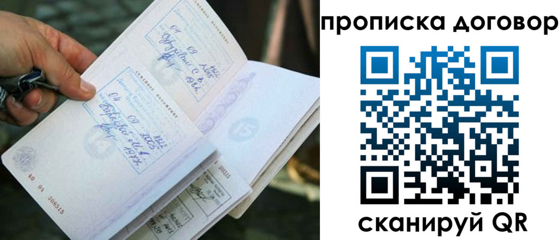 прописка для школы в Александровске