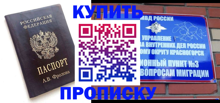 прописка поиск в Александровске